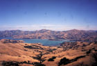 akaroa harbour