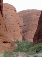 kata tjuta