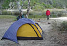 fraser island west coast camp